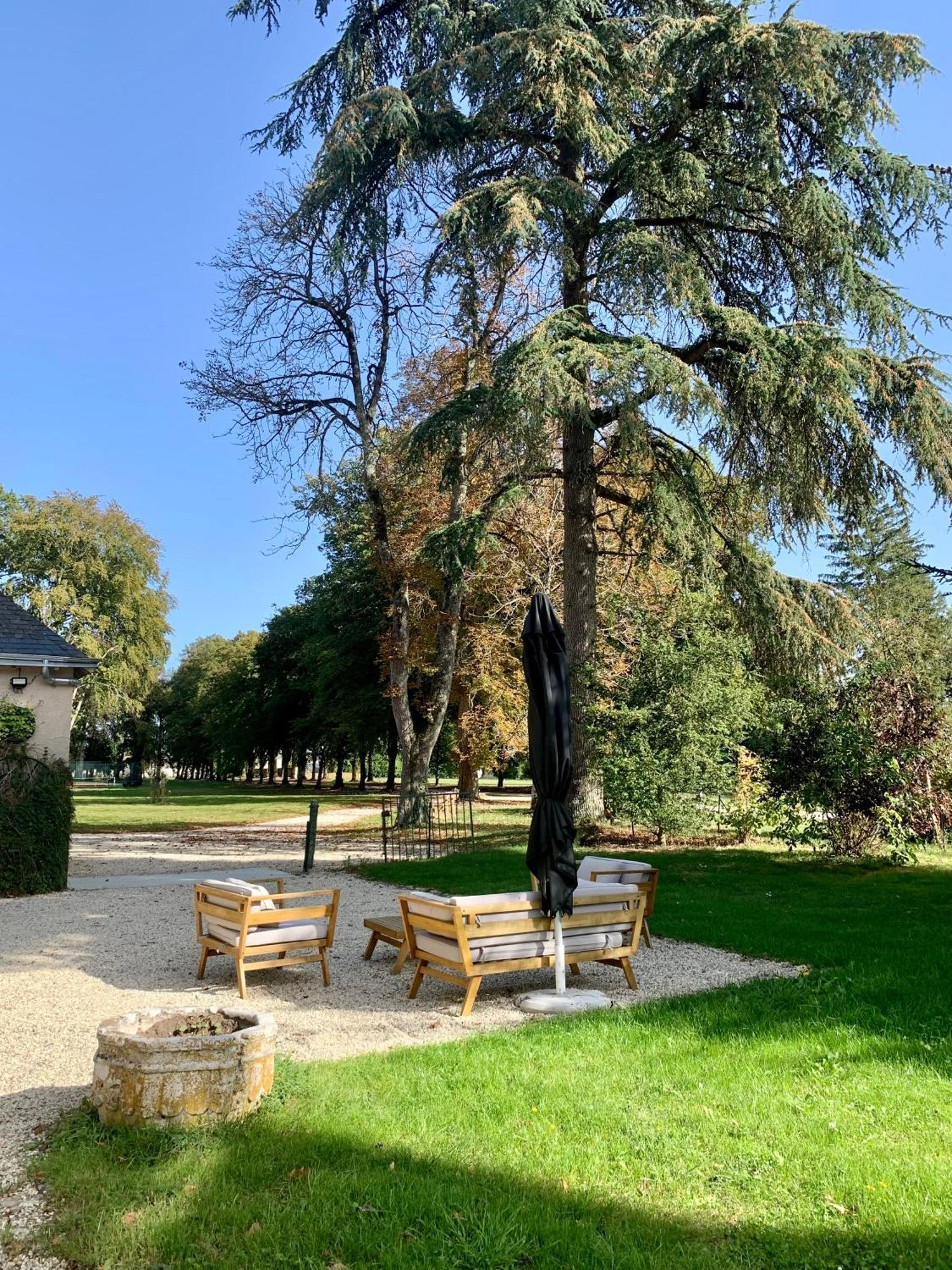 Chateau De L'Epinay - Domaine Du Marquis De Lafayette Dolus-le-Sec Екстер'єр фото